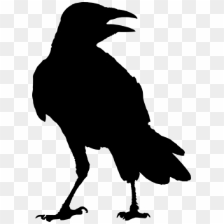Svg Transparent Download Crow Clipart Raven Silhouette - Raven Png, Png Download