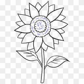 Line Drawing Flower Pictures And Cliparts Free Sunflower Drawing Easy Hd Png Download 678x600 1965909 Pngfind