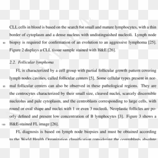 Cll Tissue Sample With 20× Magnification And 1388 ×, HD Png Download