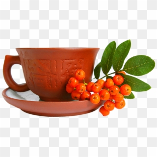 Red Tea And Cup With Leaf - Осень И Кофе Png, Transparent Png