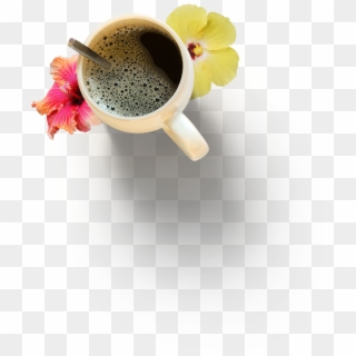 Christopher And Aniko Somogyi - Coffee Cup, HD Png Download