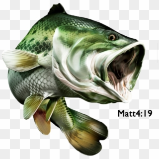 Transparent Png
