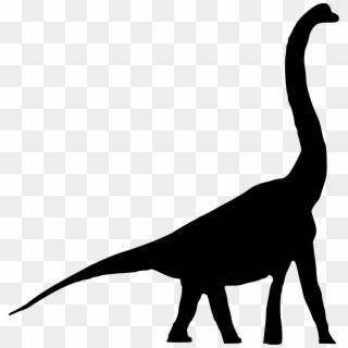 1200 X 1236 3 0 - Sauropodomorpha Png, Transparent Png