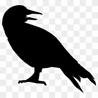 Canary Silhouette , Png Download - Morrigan Crow Illustrations, Transparent Png