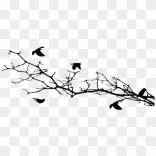 Free Png Download Bird Silhouettes On A Branch Png - Silhouette, Transparent Png
