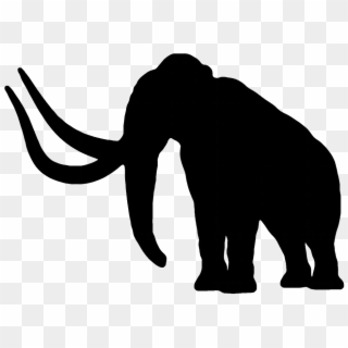Elephant Silhouette Png, Transparent Png