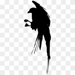 Free Png Bird Silhouette Png Images Transparent, Png Download