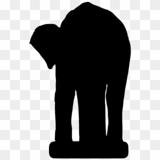 Download Png - Indian Elephant, Transparent Png