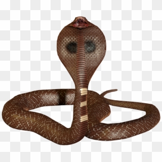 Cobra Snake Png - Png Snake, Transparent Png