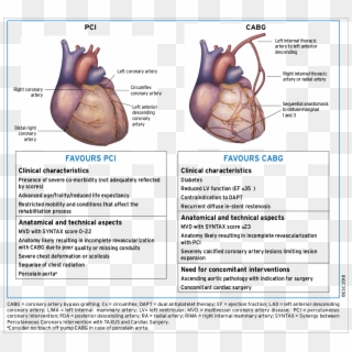 Aspects To Be Considered By The Heart Team For Decision-making - Coronary Artery Bypass Surgery, HD Png Download
