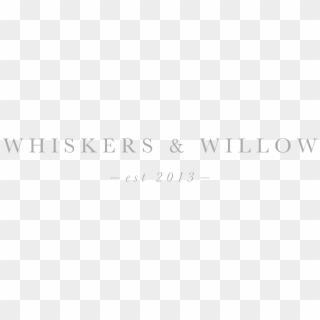 Whiskers And Willow Photography, HD Png Download