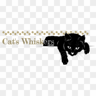 Whiskers Png - Cartoon, Transparent Png