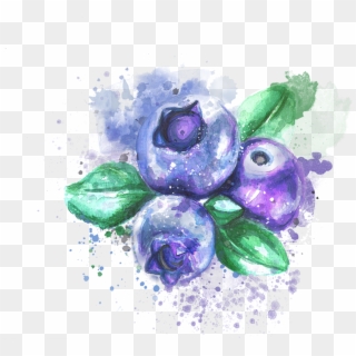 Blueberry Watercolor Clipart Images Gallery For Free - Bluebonnet, HD Png Download