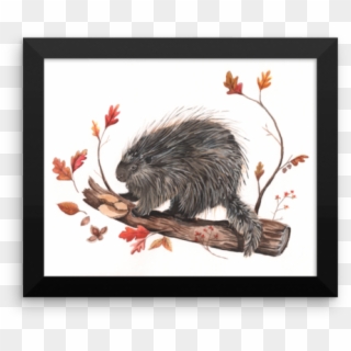 Porcupine Print - Beaver, HD Png Download