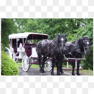 Add Stately Elegance Or Good Old Fashioned Fun With - Old Fashioned Horse Buggy, HD Png Download