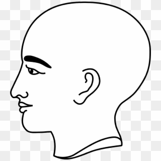 Bald Clipart Bold Man - Person's Profile, HD Png Download