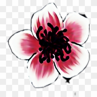 Flower Sticker - Artificial Flower, HD Png Download