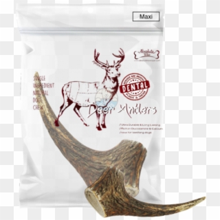Absolute Bites Whole Deer Antlers Dental Chew - Deer Antler Dog Chew Packaging, HD Png Download