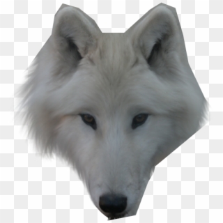 Wolf Face Png - White Wolf Face Transparent, Png Download