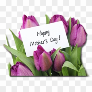Mother's Day Is May 13th - Happy Mother's Day Flowers, HD Png Download