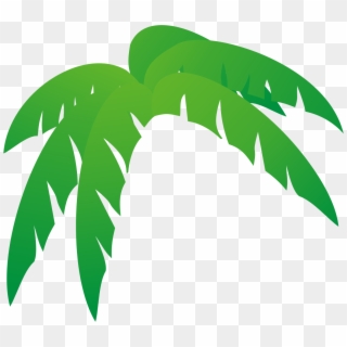 Palm Tree Leaves Clipart At Getdrawings, HD Png Download