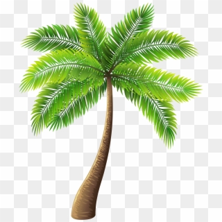 Palm Tree Png Clip Art - Palm Tree Png Transparent, Png Download
