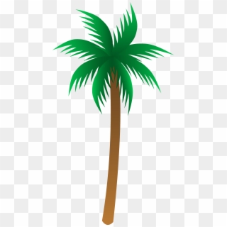 Palm Tree Png - Palm Tree Vector Png, Transparent Png