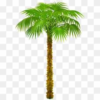 Palm Tree Png Clipart Picture, Transparent Png