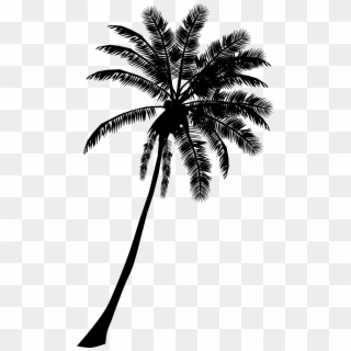 Palm Tree Banner Black And White Download - Palm Tree Silhouette Clipart, HD Png Download