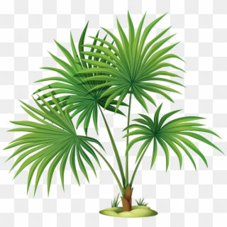 Palm Tree Leaves Clipart , Png Download, Transparent Png