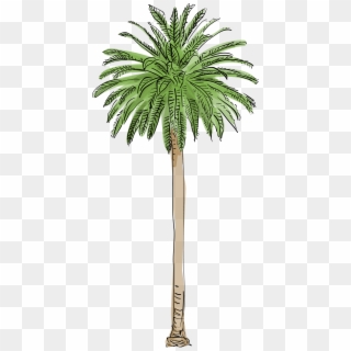Canary Island Date Palm - Los Angeles Palm Tree Png, Transparent Png
