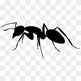 Svg Transparent Library Ant Silhouette Big Image Png - Ant Silhouette Png, Png Download