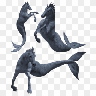 Hippocampus, Seahorse, Monster, Creature, Beast, Horse - Seahorse Monster, HD Png Download
