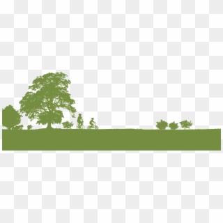 Quality Lawn Service For 20 Years - Tree, HD Png Download