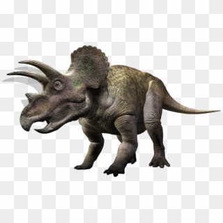 Triceratops Png, Transparent Png