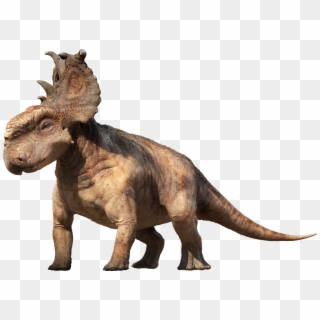 Dinosaur Png - Dinosaurs Pachyrhinosaurus, Transparent Png