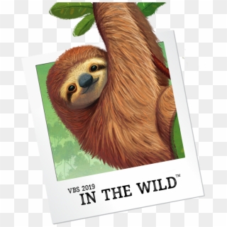 Vbs Preview Events - Vbs In The Wild, HD Png Download