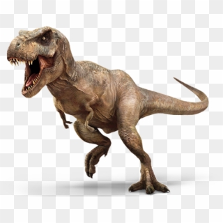 Tyrannosaurus Rex - Dinosaur T Rex, HD Png Download