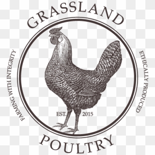 Grassland Poultry - Public Domain Rooster Illustration, HD Png Download