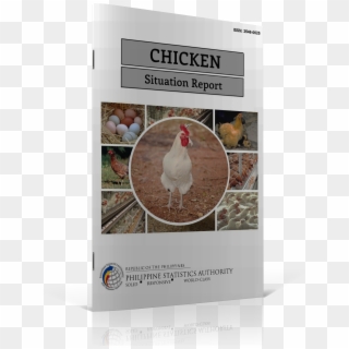 Chicken Situation Report - Rooster, HD Png Download