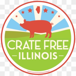 Crate Free Illinois - Domestic Pig, HD Png Download