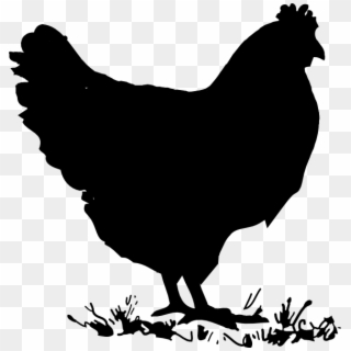 576 X 596 9 0 - Silhouette Chicken Clip Art, HD Png Download