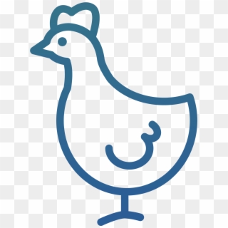 Broiler Chicken - Broiler Icon, HD Png Download