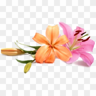 Wedding Flowers Png - Peach Wedding Flower Png, Transparent Png