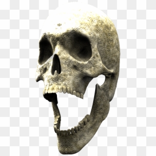 Here Is The 3d Skull To Finish Your Composite - Skull, HD Png Download