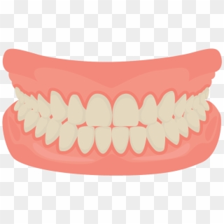 Human Tooth Smile Mouth Dentistry - Teeth Cartoon, HD Png Download