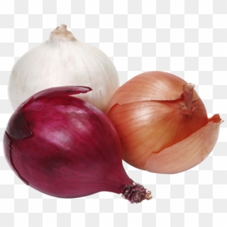 Red Onion, HD Png Download