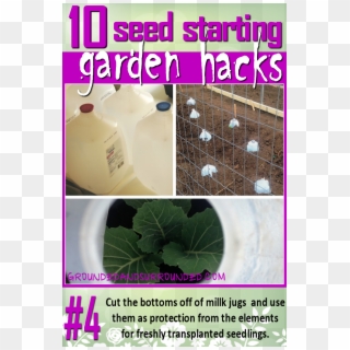 There Are So Many Uses For Milk Jugs In The Garden - Poster, HD Png Download