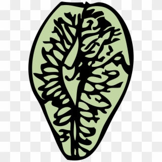 This Free Icons Png Design Of Elm Seed - Elm, Transparent Png