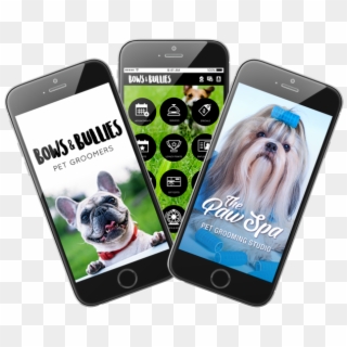 Photo Of Example Of Custom Pet Grooming Business Apps - Iphone, HD Png Download